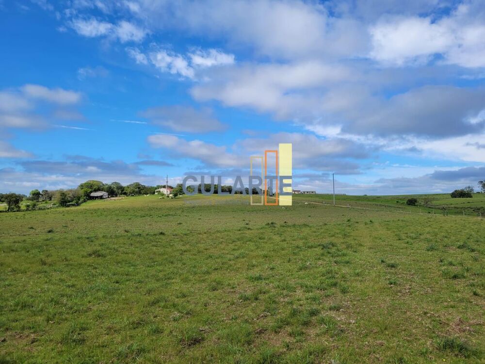 Fazenda à venda, 1600000m² - Foto 10
