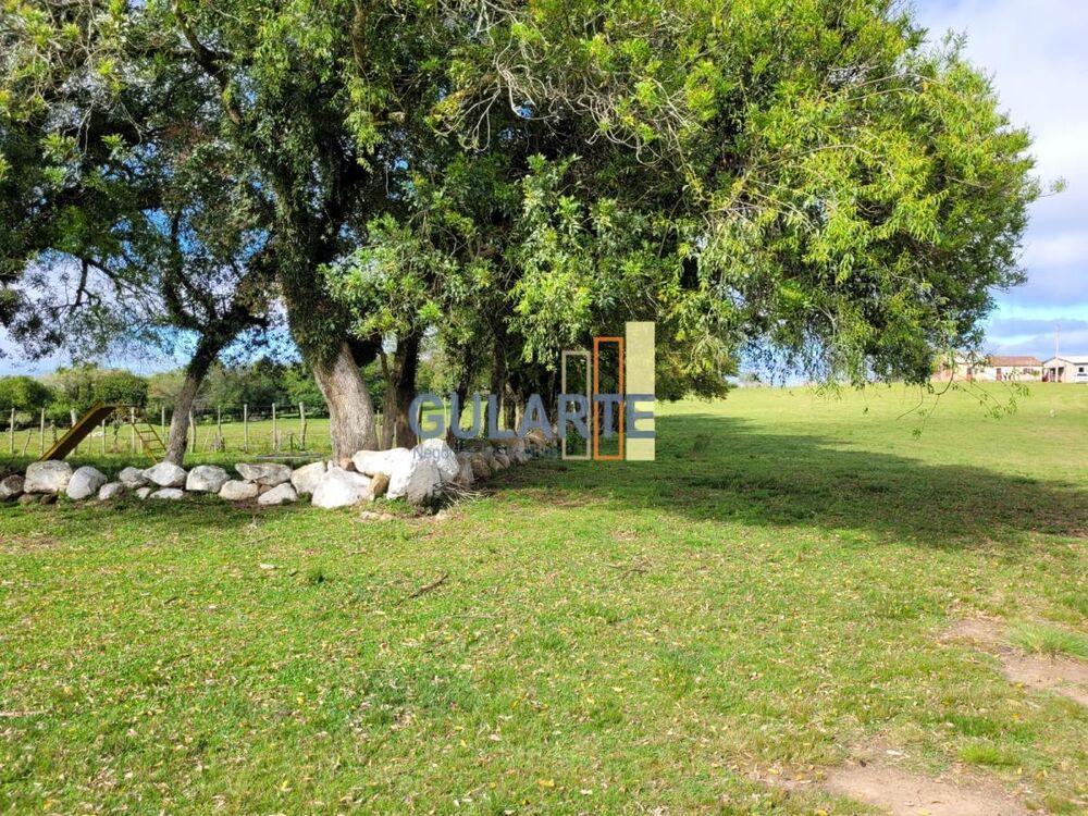 Fazenda à venda, 1600000m² - Foto 13