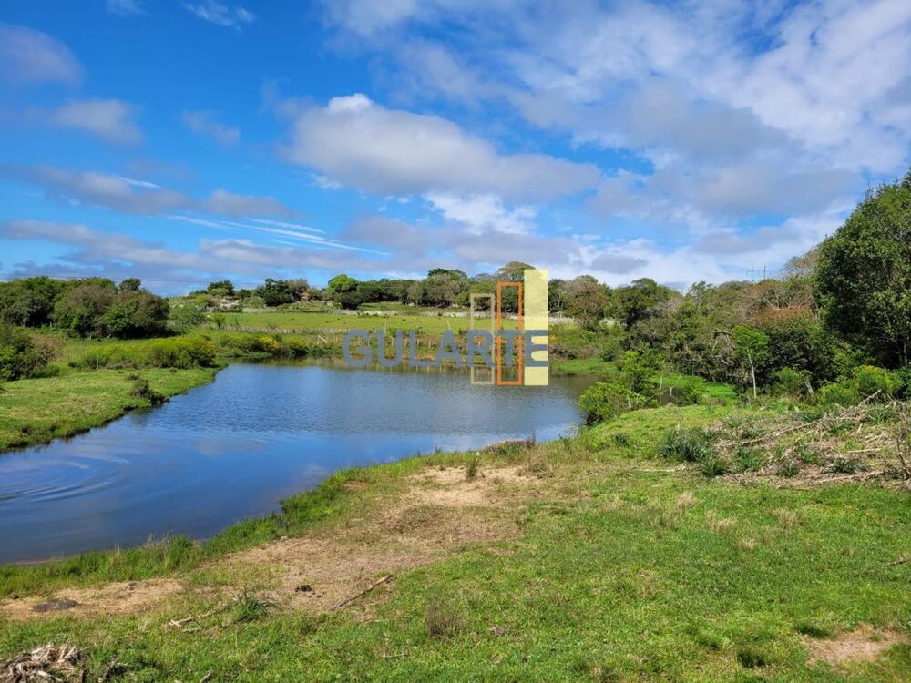 Fazenda à venda, 1600000m² - Foto 6