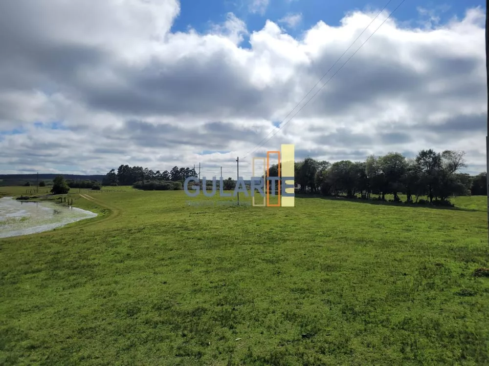 Fazenda, 160 hectares - Foto 19