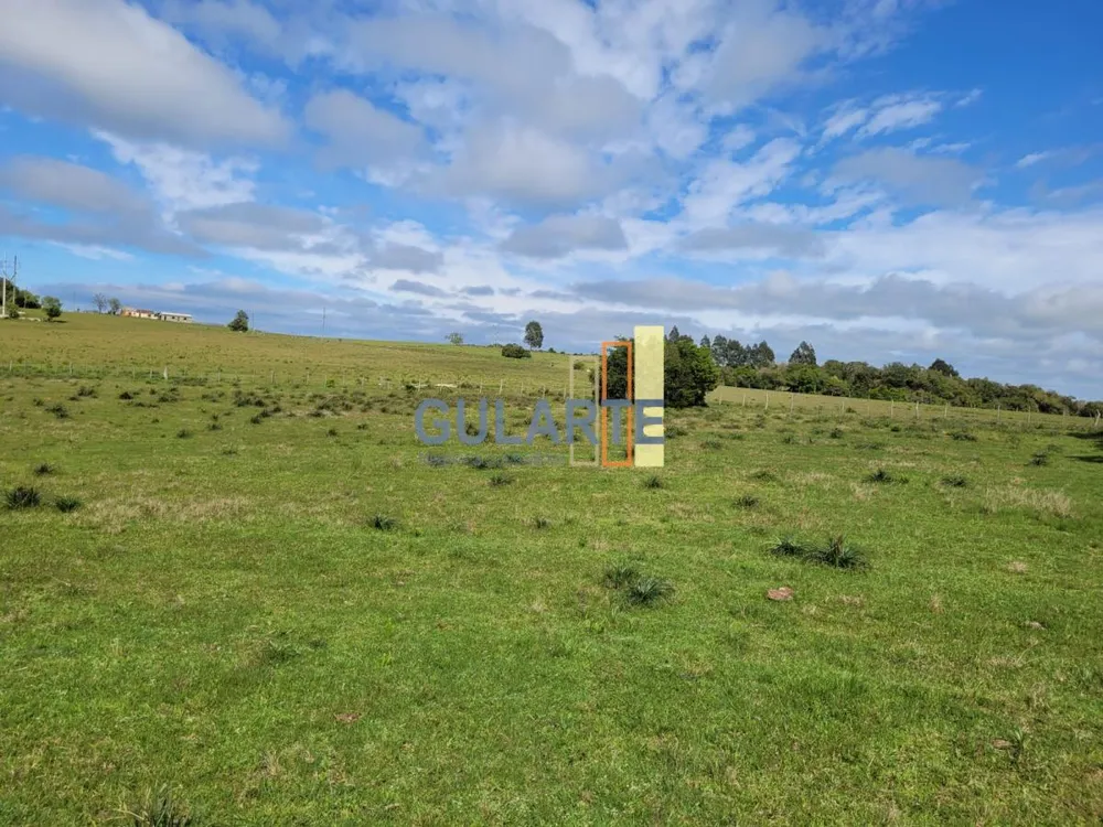 Fazenda, 160 hectares - Foto 25