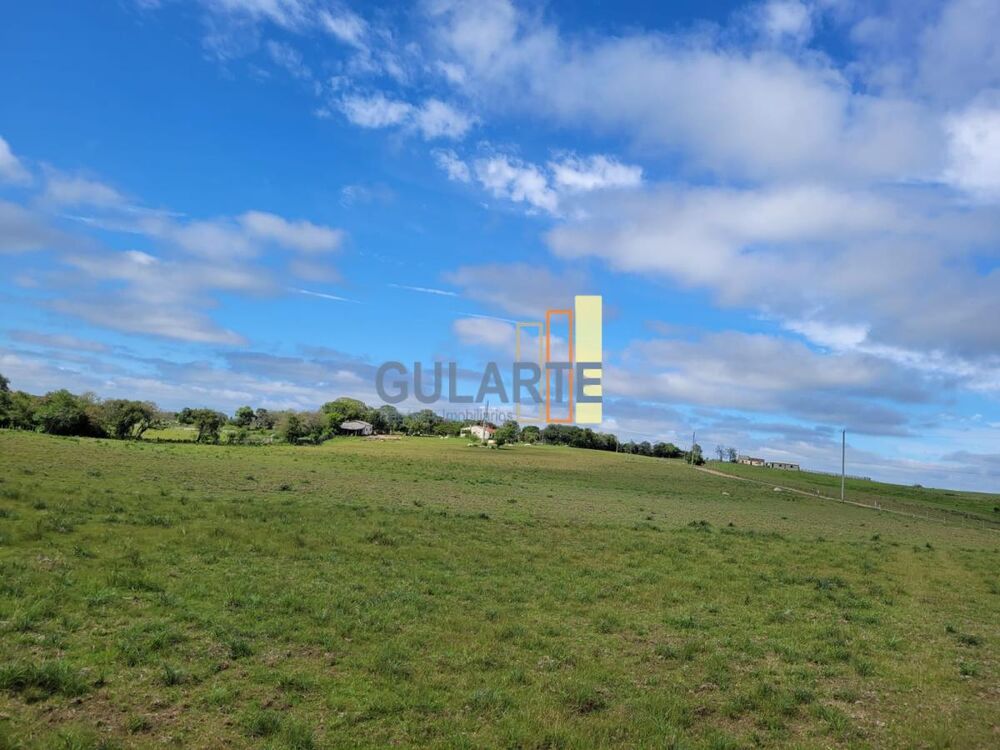 Fazenda à venda, 1600000m² - Foto 11