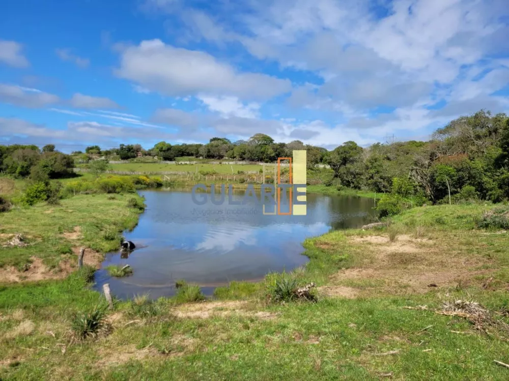 Fazenda, 160 hectares - Foto 10