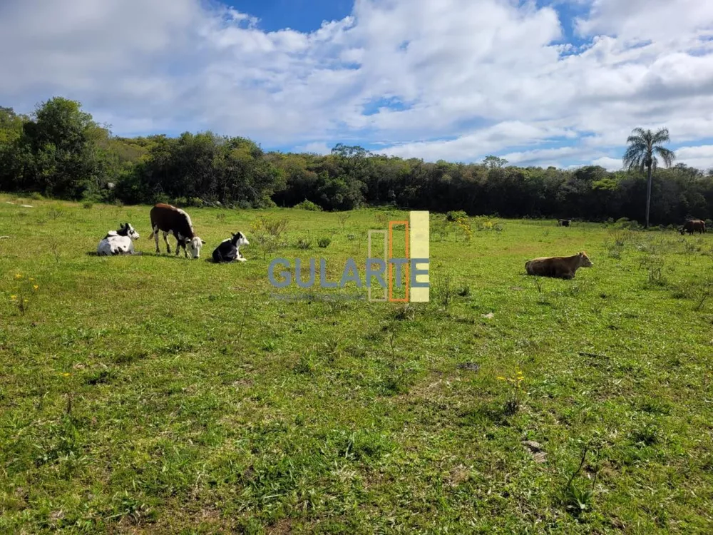 Fazenda, 160 hectares - Foto 15