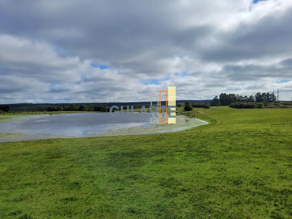 Fazenda, 160 hectares - Foto 28