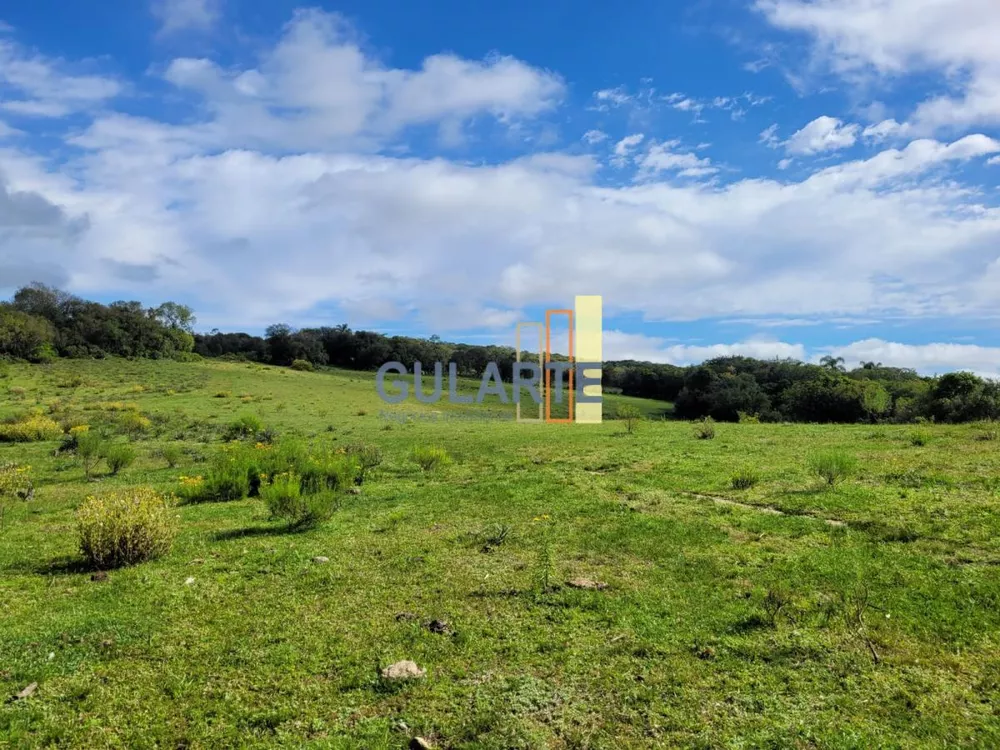 Fazenda, 160 hectares - Foto 9