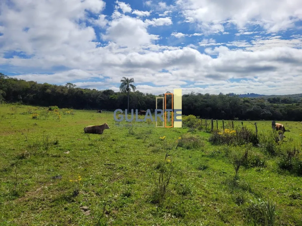 Fazenda, 160 hectares - Foto 27