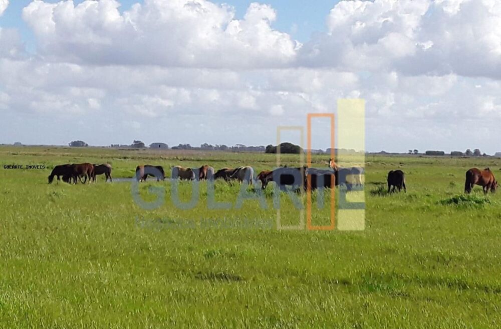 Fazenda à venda, 1079m² - Foto 1