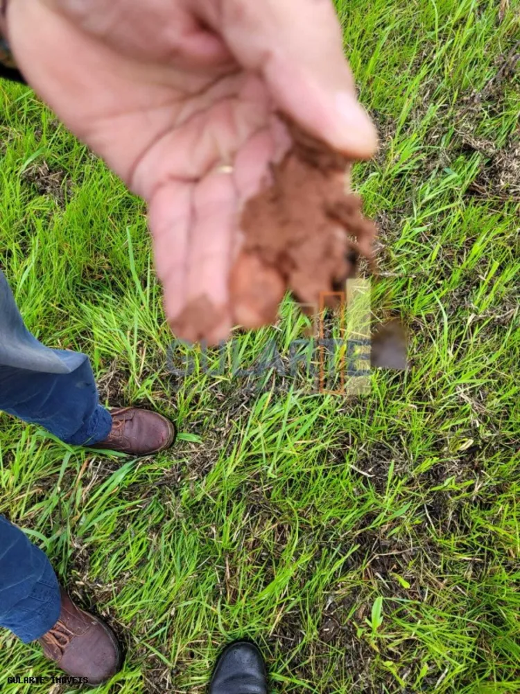Fazenda, 392 hectares - Foto 8