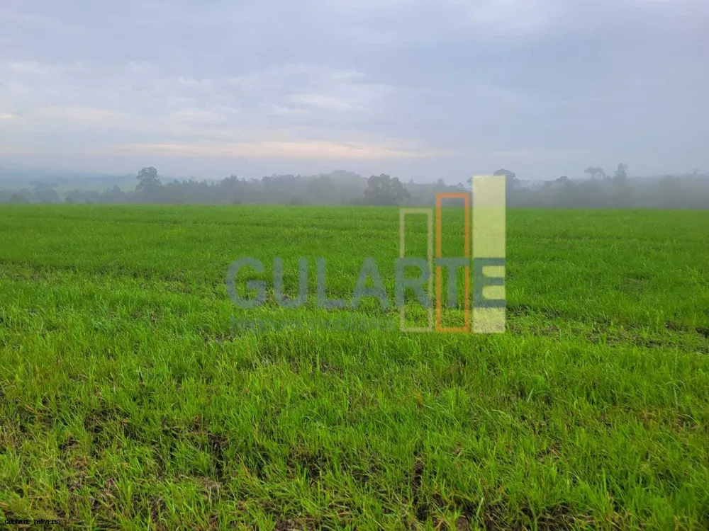 Fazenda, 392 hectares - Foto 4