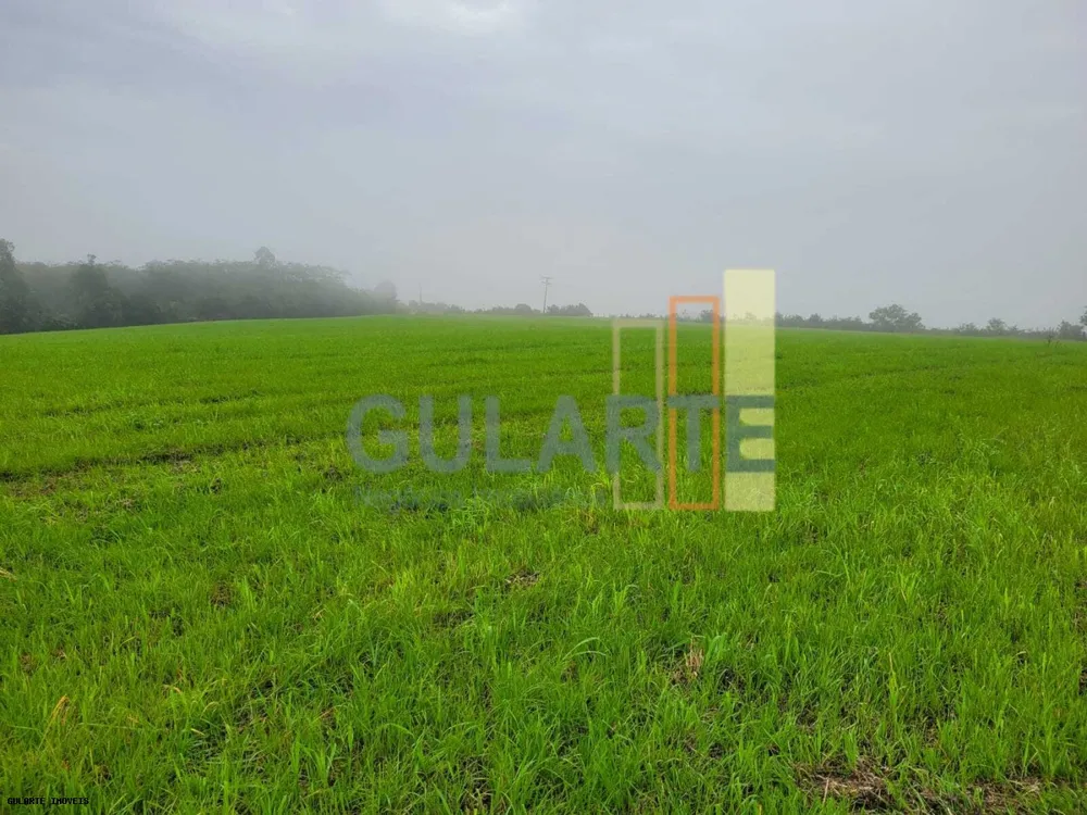 Fazenda, 392 hectares - Foto 3