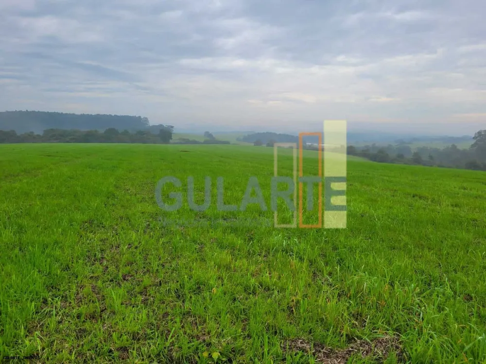 Fazenda, 392 hectares - Foto 6