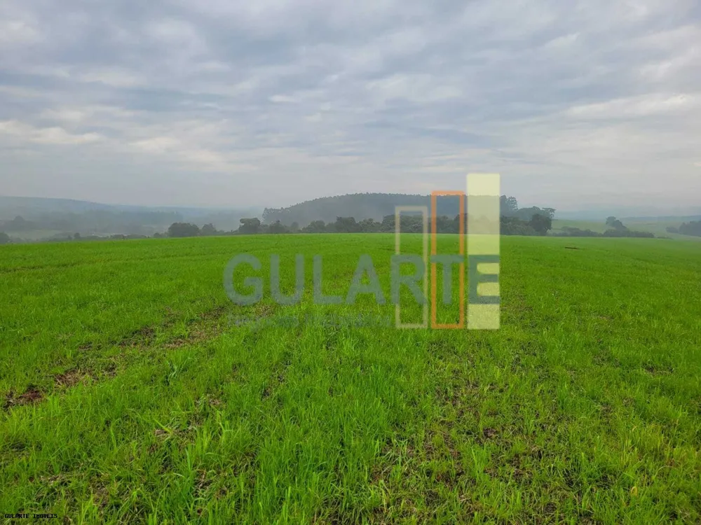 Fazenda, 392 hectares - Foto 1