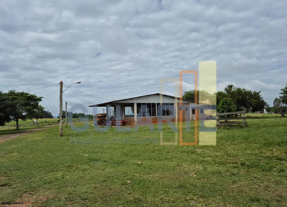 Fazenda, 85 hectares - Foto 3