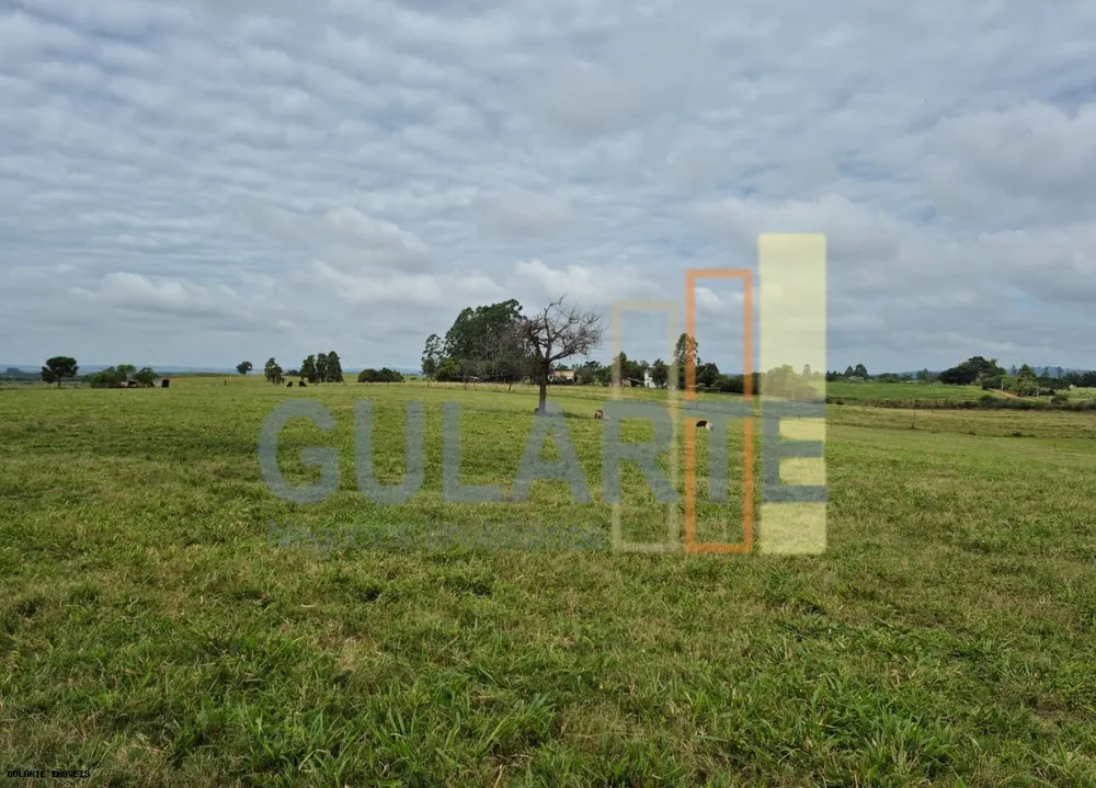Fazenda, 85 hectares - Foto 1