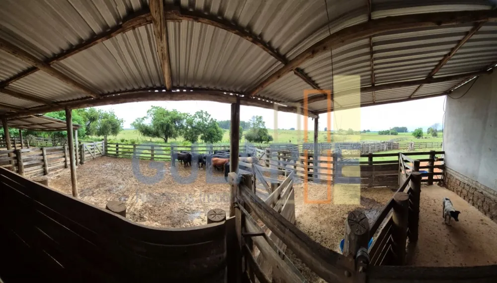 Fazenda, 85 hectares - Foto 4