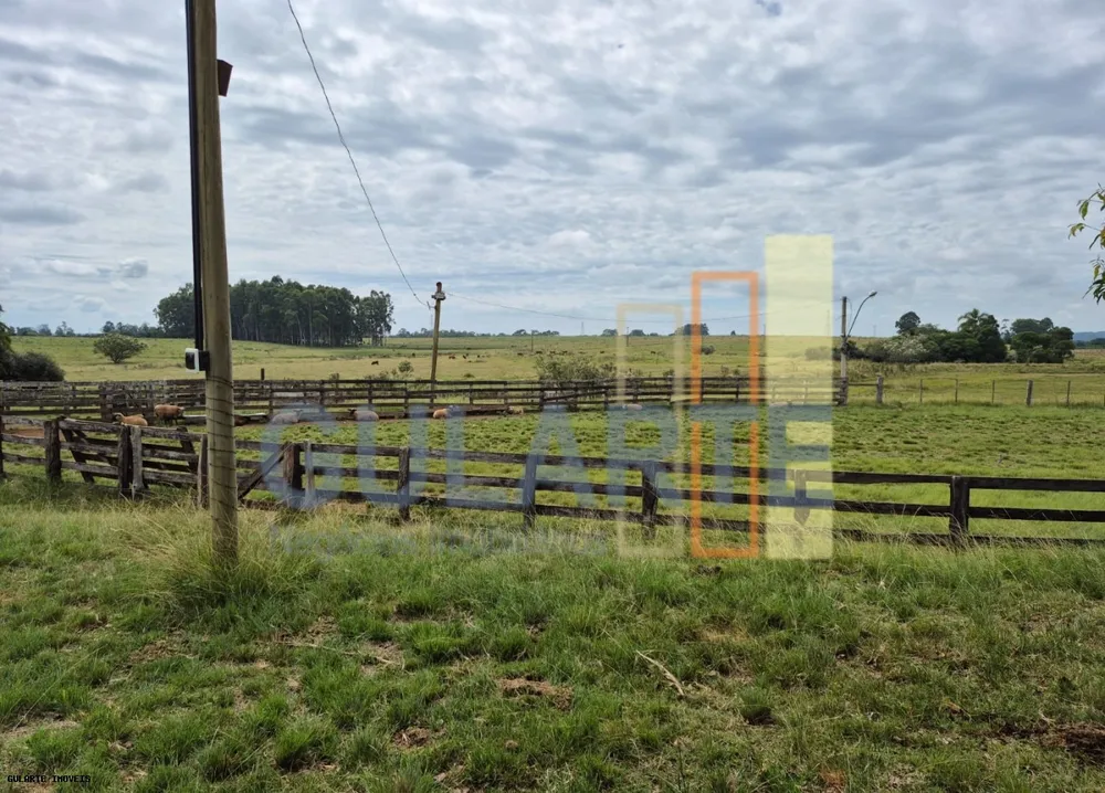 Fazenda, 85 hectares - Foto 3