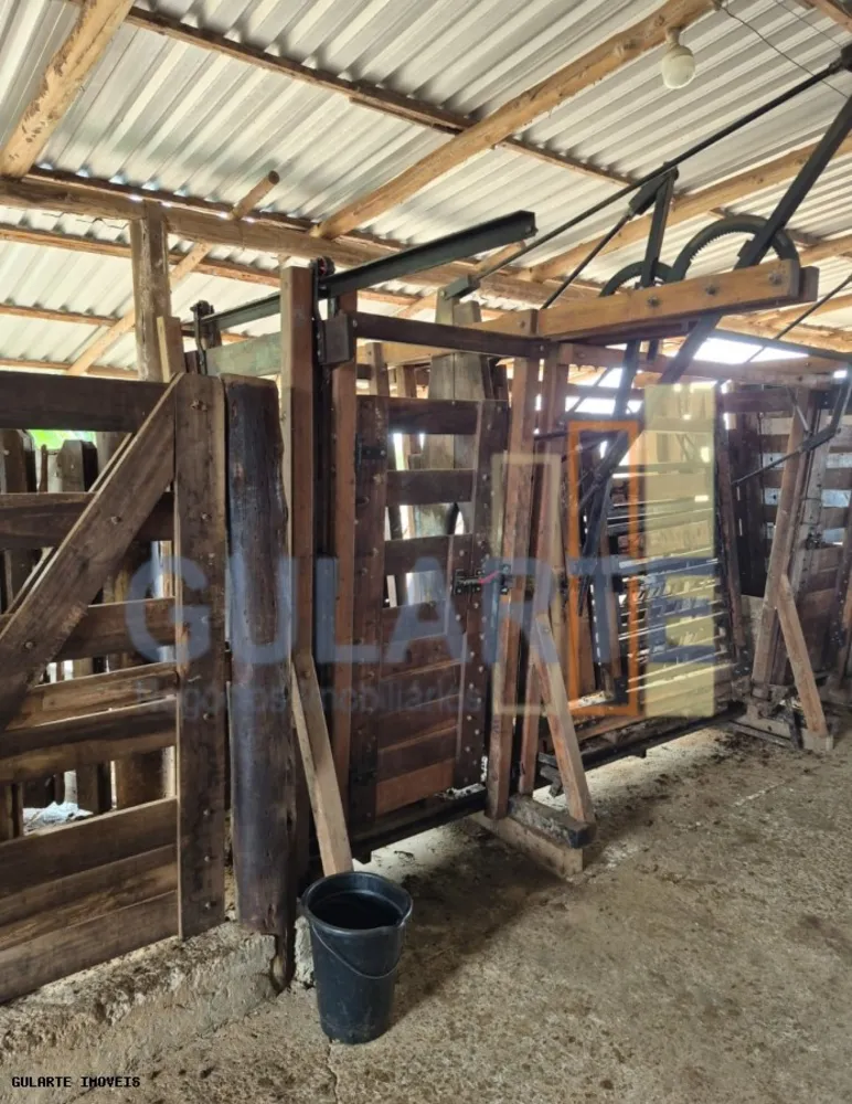 Fazenda, 85 hectares - Foto 6
