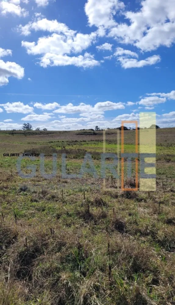 Fazenda, 133 hectares - Foto 7