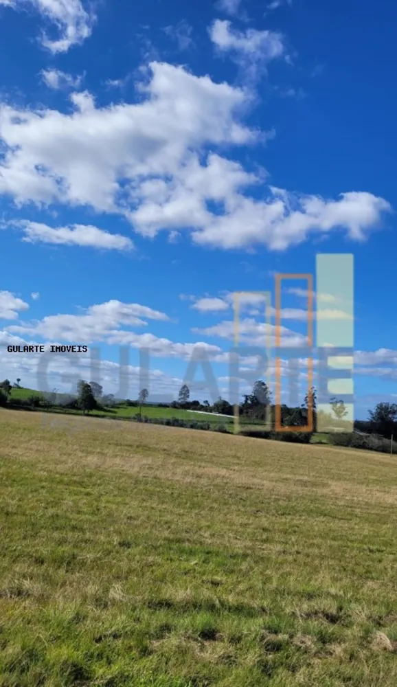 Fazenda, 133 hectares - Foto 4