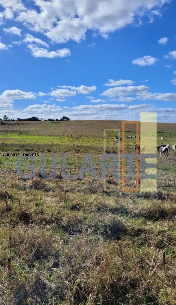 Fazenda, 133 hectares - Foto 4