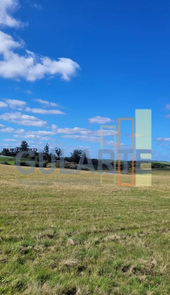 Fazenda, 133 hectares - Foto 2