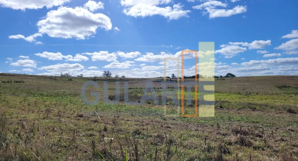 Fazenda, 133 hectares - Foto 3