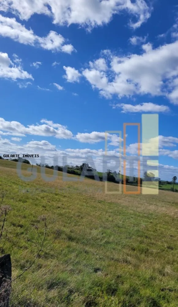 Fazenda, 133 hectares - Foto 2