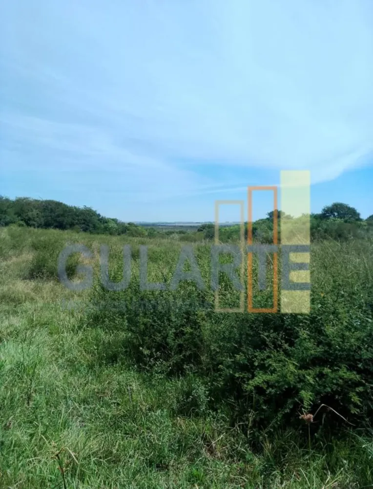 Fazenda, 540 hectares - Foto 6