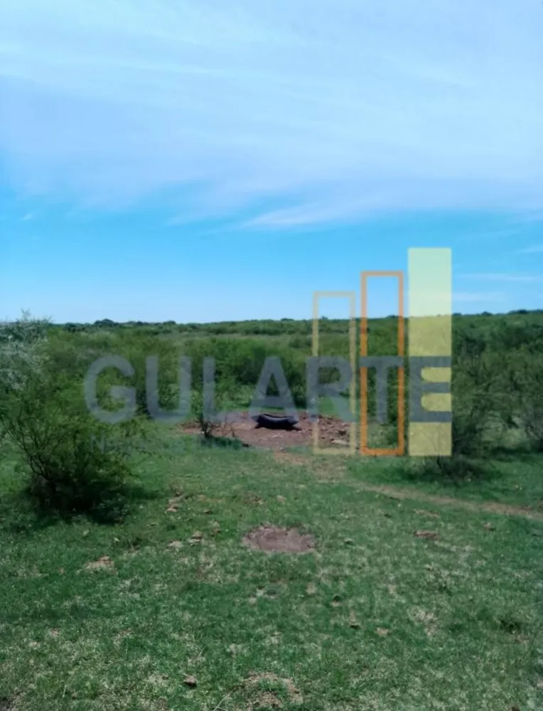 Fazenda, 540 hectares - Foto 4