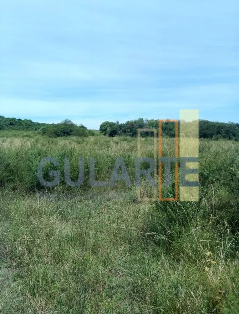 Fazenda, 540 hectares - Foto 5