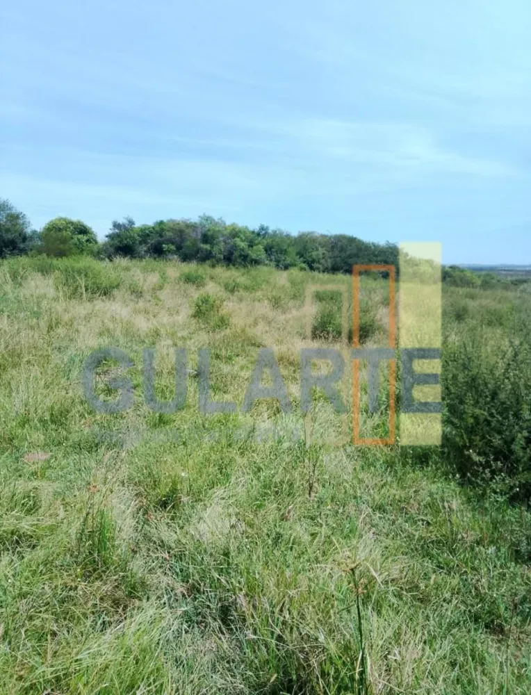 Fazenda, 540 hectares - Foto 3