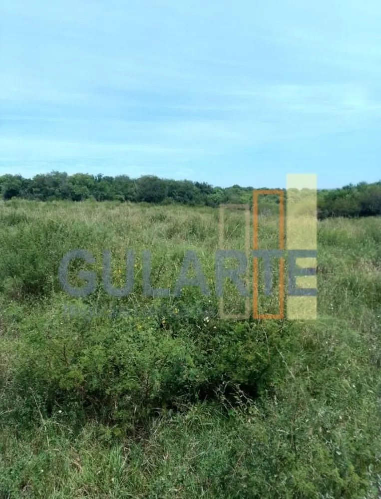 Fazenda, 540 hectares - Foto 1