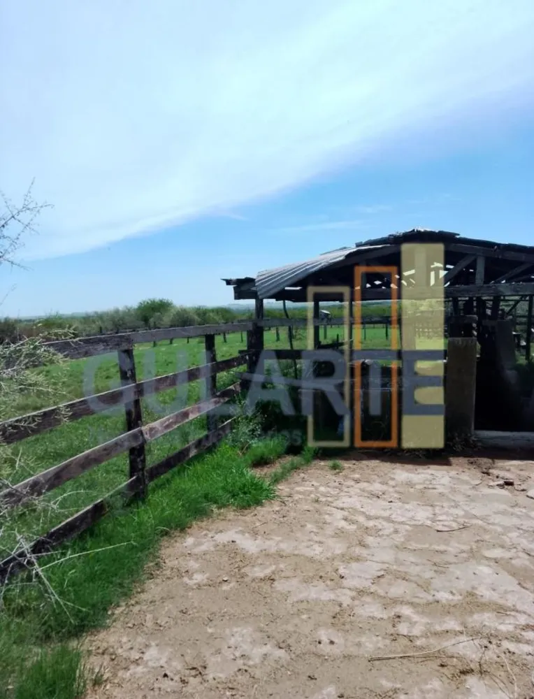 Fazenda, 540 hectares - Foto 7