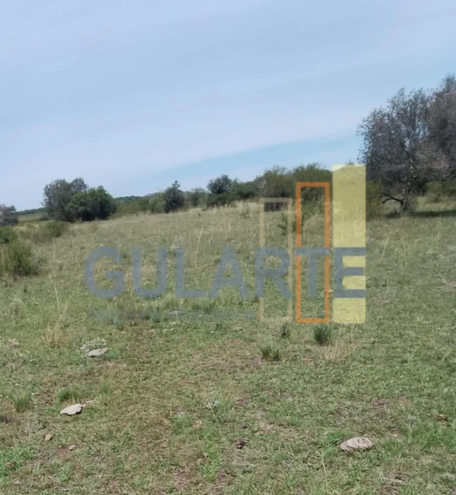 Fazenda, 540 hectares - Foto 8