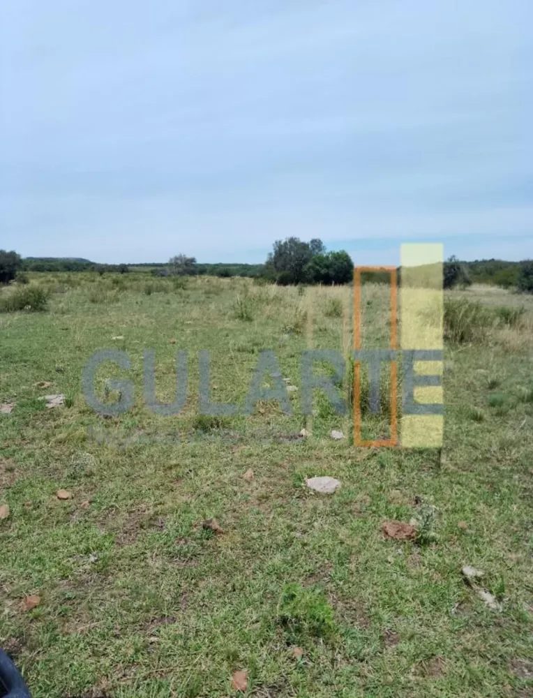 Fazenda, 540 hectares - Foto 2