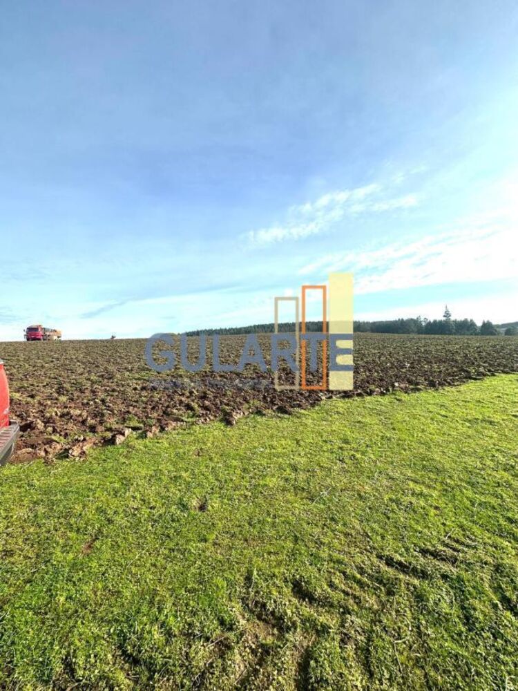 Fazenda-Sítio-Chácara, 136 hectares - Foto 2