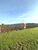 Fazenda-Sítio-Chácara, 136 hectares - Foto 2