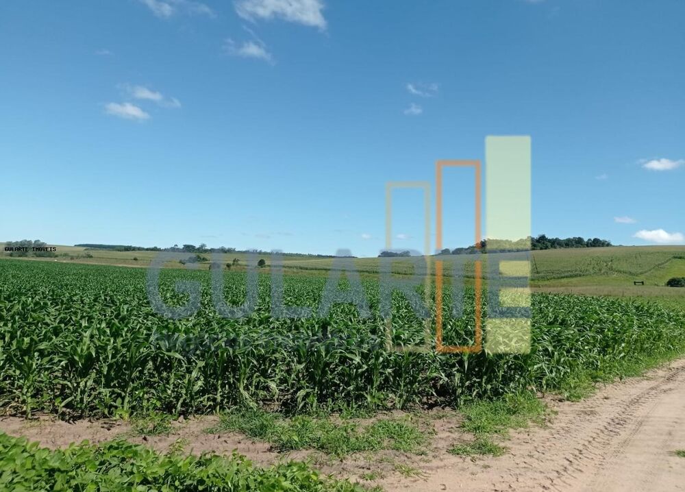 Fazenda à venda, 7260000m² - Foto 3