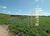 Fazenda-Sítio-Chácara, 726 hectares - Foto 2
