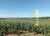 Fazenda-Sítio-Chácara, 726 hectares - Foto 4