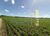 Fazenda-Sítio-Chácara, 726 hectares - Foto 1