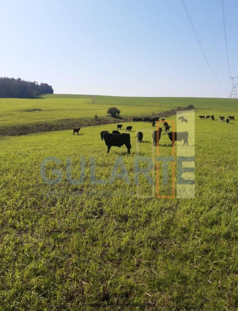 Fazenda à venda, 181m² - Foto 4