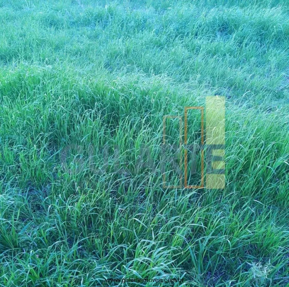 Fazenda, 181 hectares - Foto 1