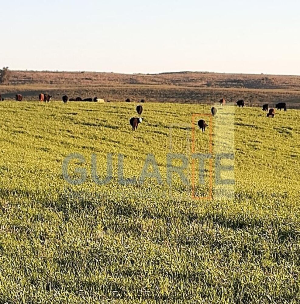 Fazenda à venda, 181m² - Foto 2
