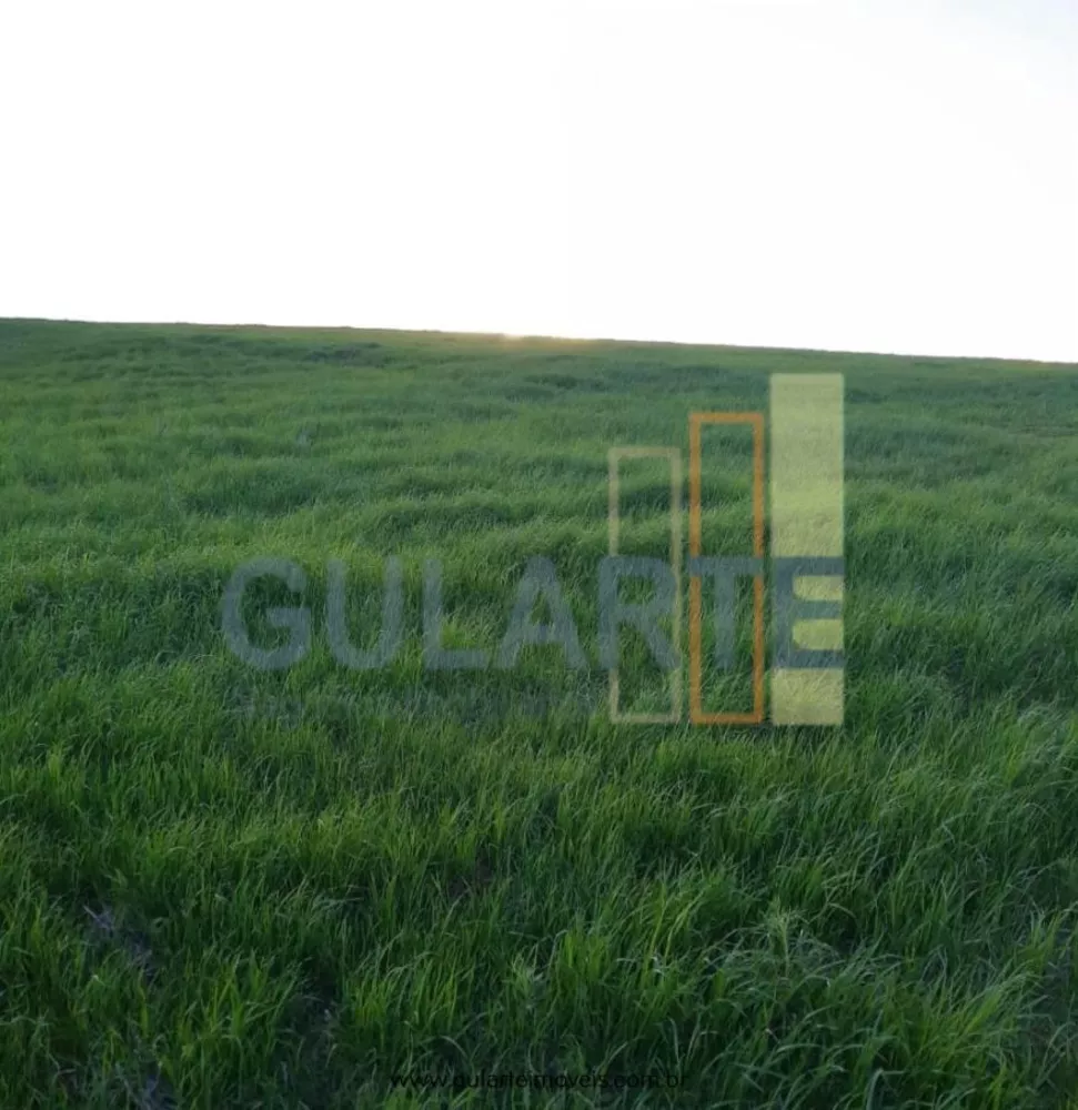 Fazenda, 181 hectares - Foto 3