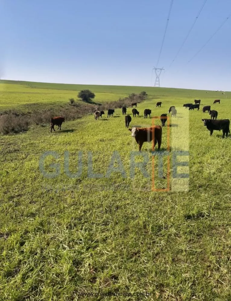 Fazenda, 181 hectares - Foto 4