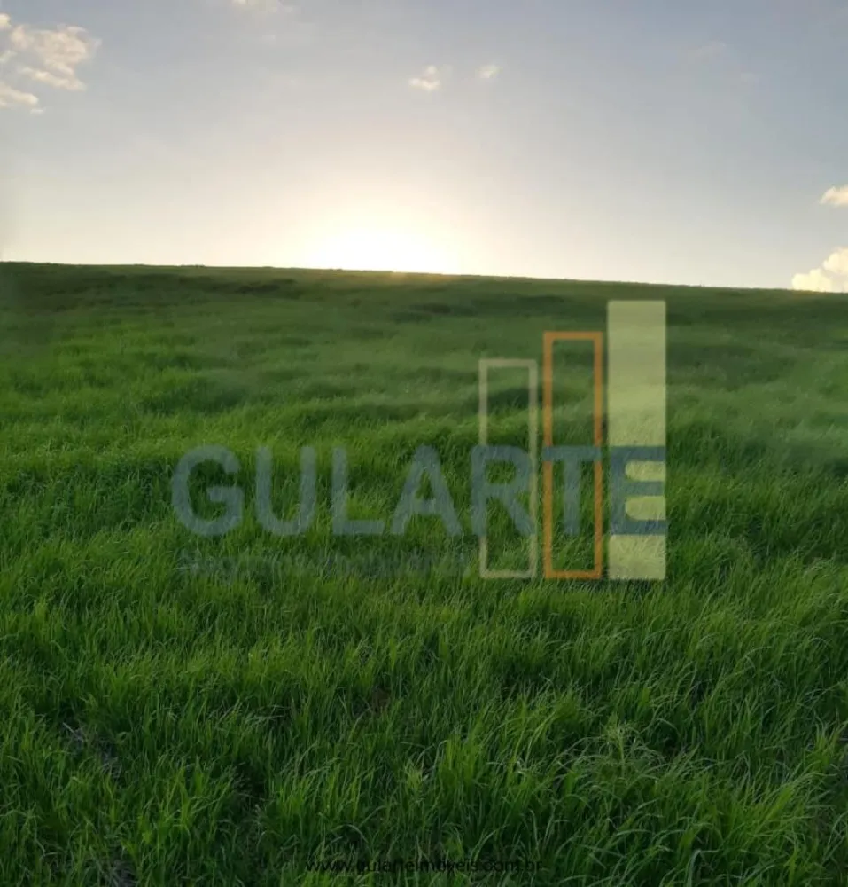 Fazenda, 181 hectares - Foto 7