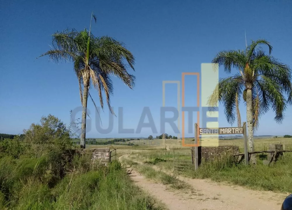 Fazenda, 809 hectares - Foto 4