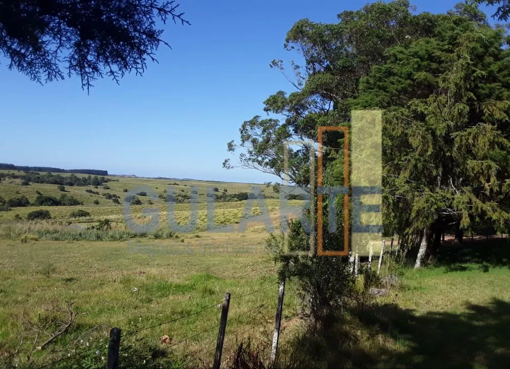 Fazenda, 809 hectares - Foto 3